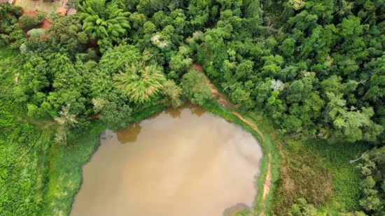 Aerial view of a pond surrounded by trees.