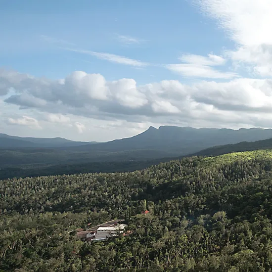 A view of a coffee estate with mountains looming behind.