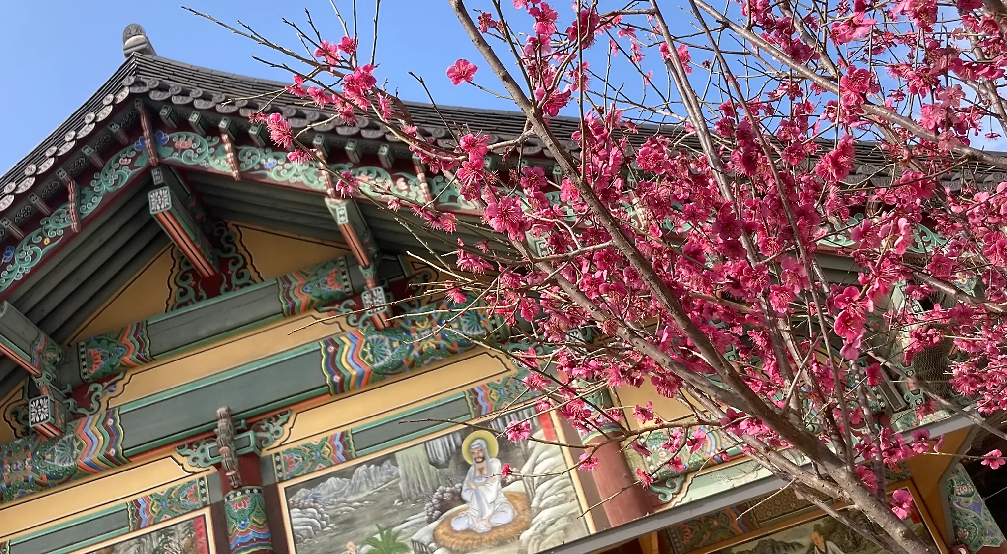 5 Cool Cafés to Try in Seoul