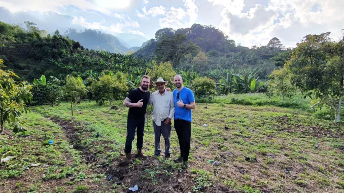 Three men stand together on a coffee farm.