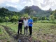 Three men stand together on a coffee farm.