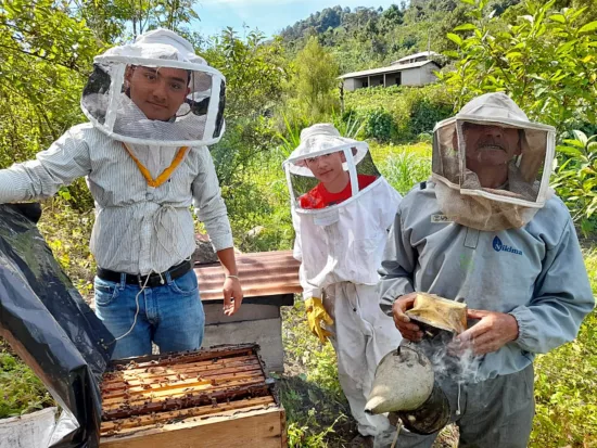 Three men in beekeeper garb open up beehives to check on them.