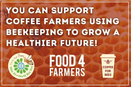 Sign reads: you can support coffee farmers using beekeeping to grow a healthier future. 