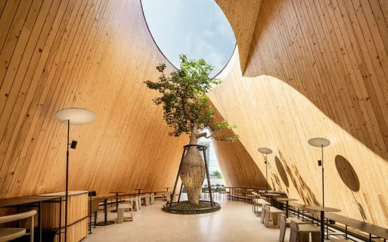 At one end of the building, a skylight has been built into the ceiling to shine light on a baobab tree growing up from the floor and nearly reaching the ceiling.