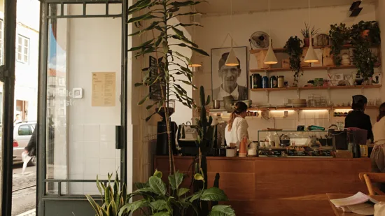 Inside the spacious Hello Kristof, a sleep walnut-colored bar with shelving behind and lots of indoor plants.