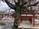 Japanese garden with a cherry blossom tree and traditional wooden building.